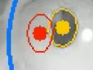 Chat image