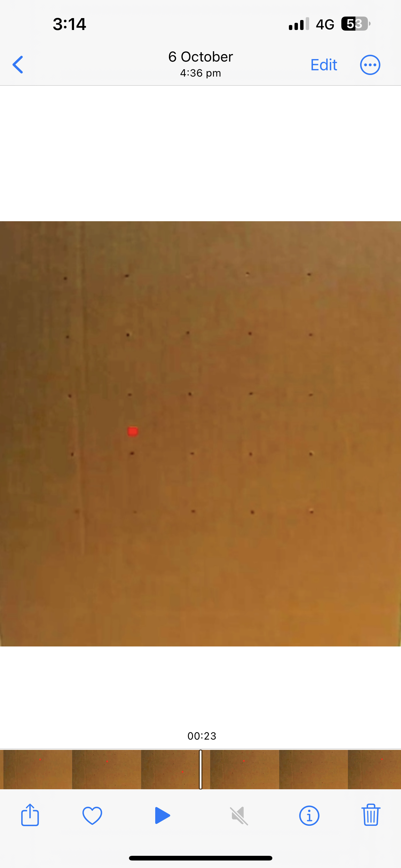 Chat image