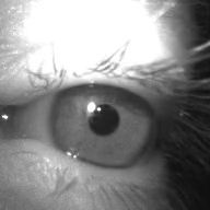 Chat image