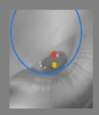 Chat image