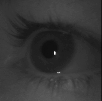 Chat image