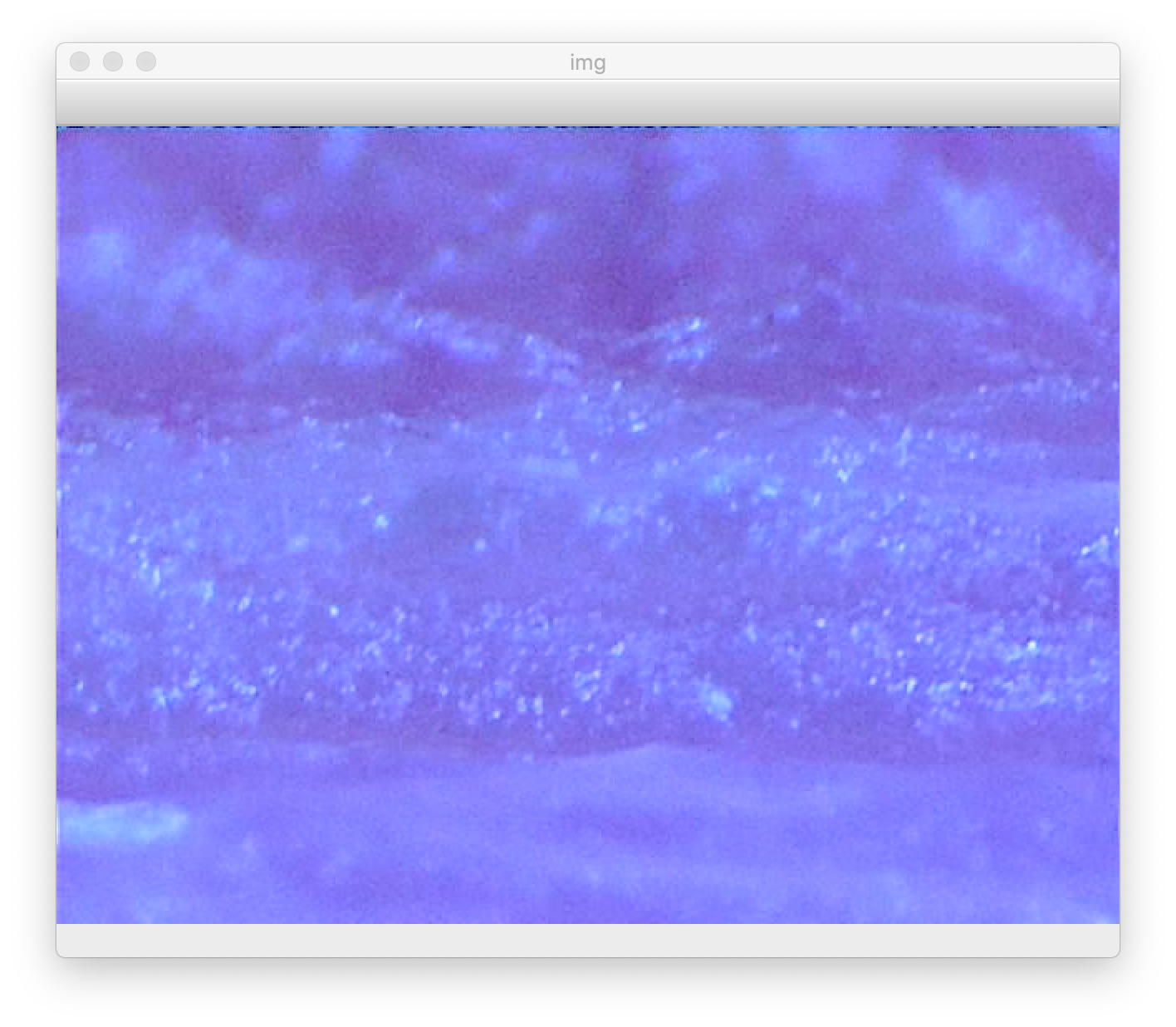 Chat image